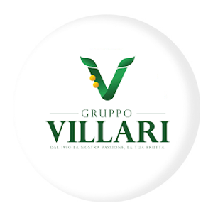 Gruppo Villari